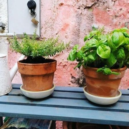 La Casa Di Mo Villa Albisola Superiore Esterno foto