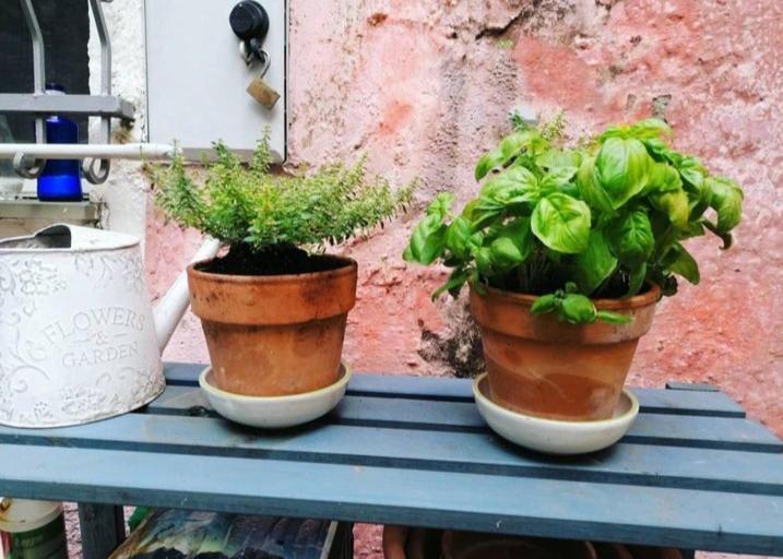 La Casa Di Mo Villa Albisola Superiore Esterno foto