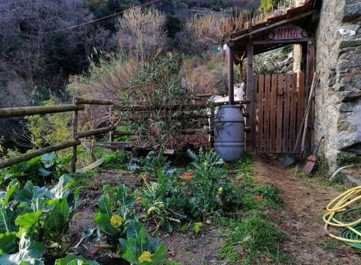 La Casa Di Mo Villa Albisola Superiore Esterno foto