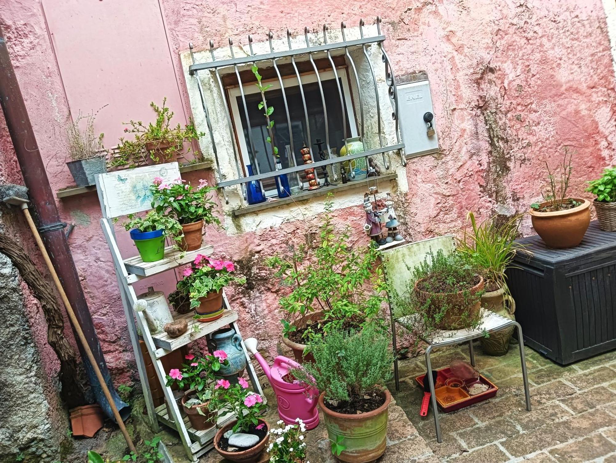 La Casa Di Mo Villa Albisola Superiore Esterno foto